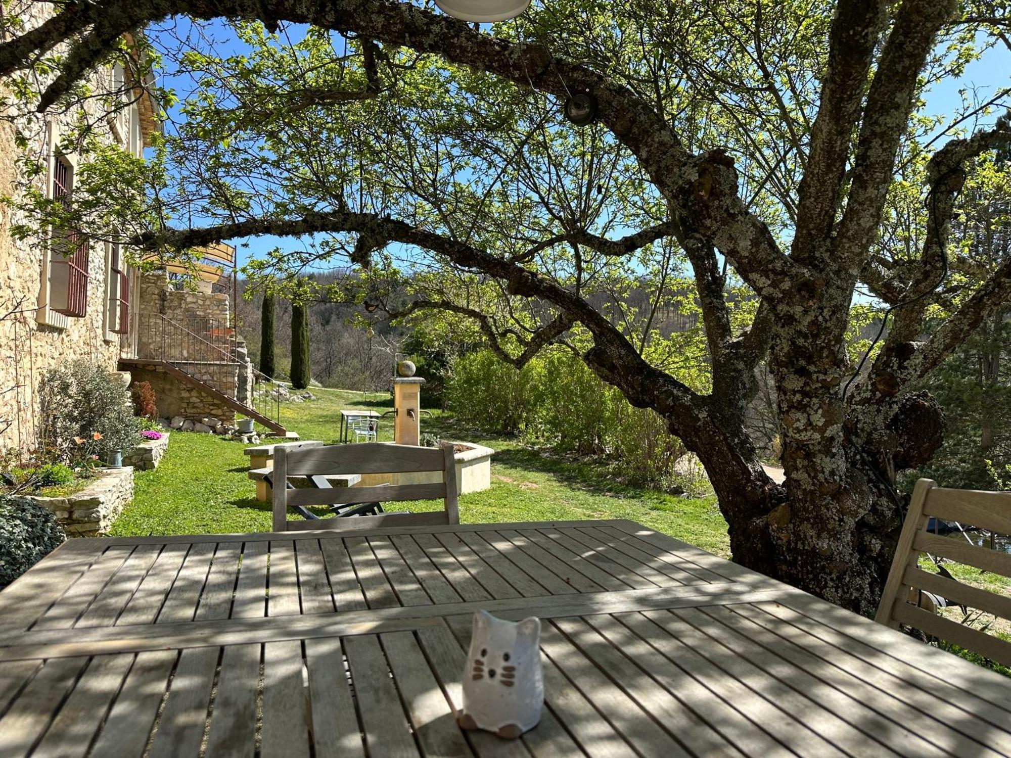 Le Domaine De Piedmoure, Gites Et Chambres D'Hotes, Piscine, Terrasses Privatives Со-де-Воклюз Екстер'єр фото